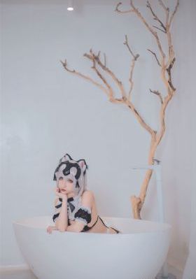 韩剧好搭档在线观看免费高清_1080完整视频观看
