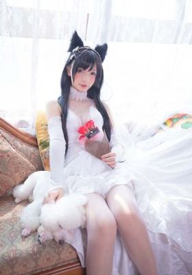 传奇人生1-100集免费观看短剧_1080P高清视频播放